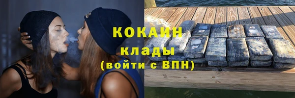 твердый Лагань