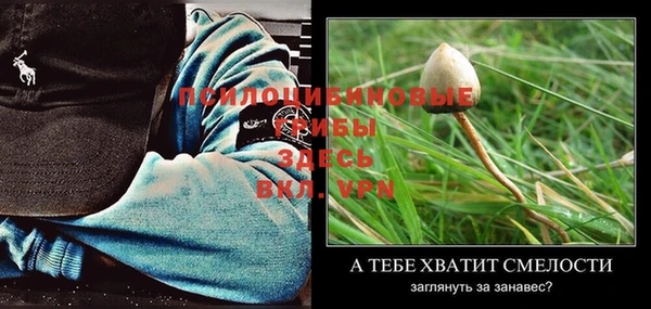 дживик Куйбышев