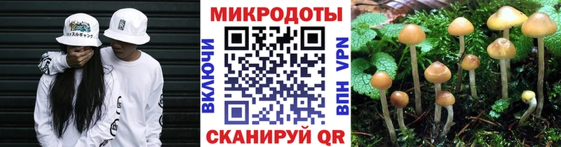 Галлюциногенные грибы прущие грибы  наркошоп  Медногорск 