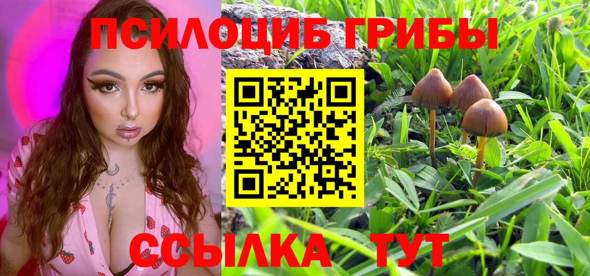 Псилоцибиновые грибы мицелий Медногорск