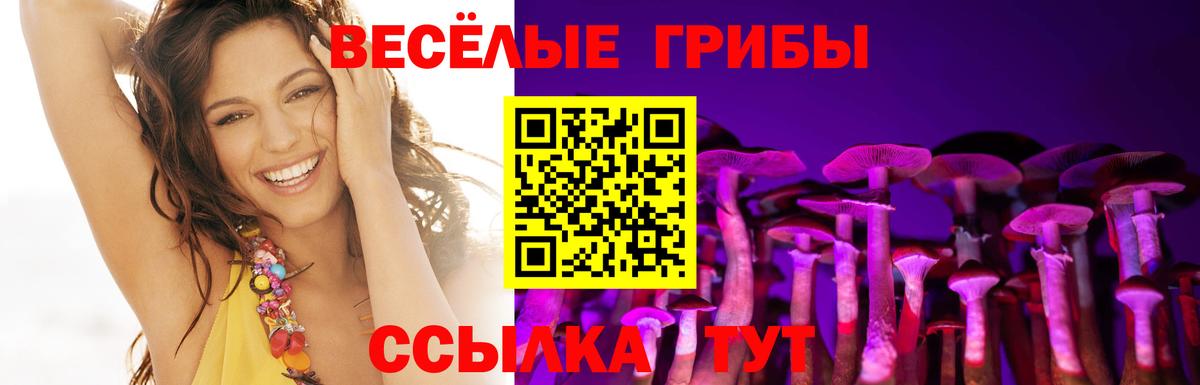 Медногорск  Псилоцибиновые грибы мухоморы  Вход с VPN 